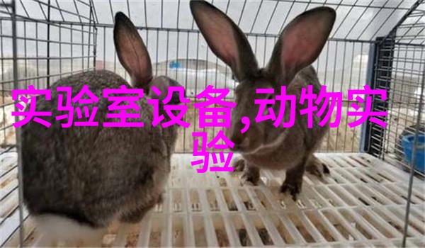 新品 LBDN-1--煤质分析仪器全自动定氮仪