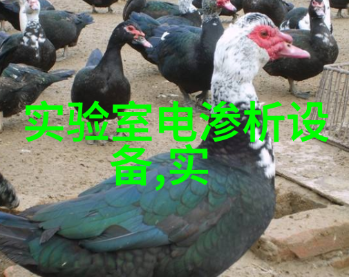 促销 CD仓泵气化室组件(CD)